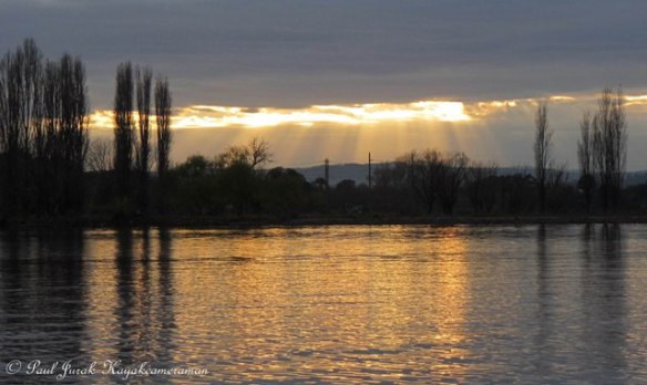 Farewelled by the finger rays. Just lovely!