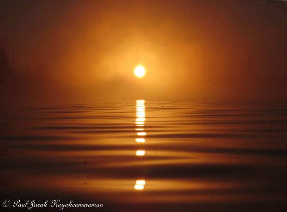 Golden stepping stones.