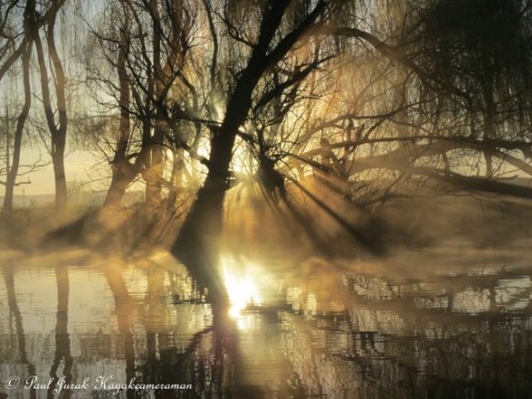 Golden fingers tickling my face