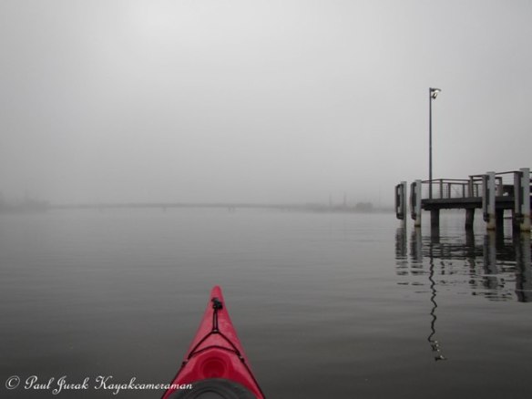 IMG_9699