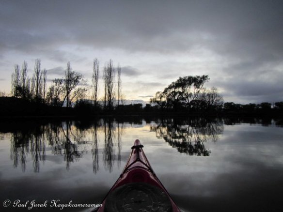 Heading my way into the wetlands 