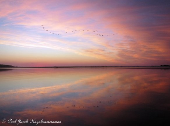 The tones are so subtle 