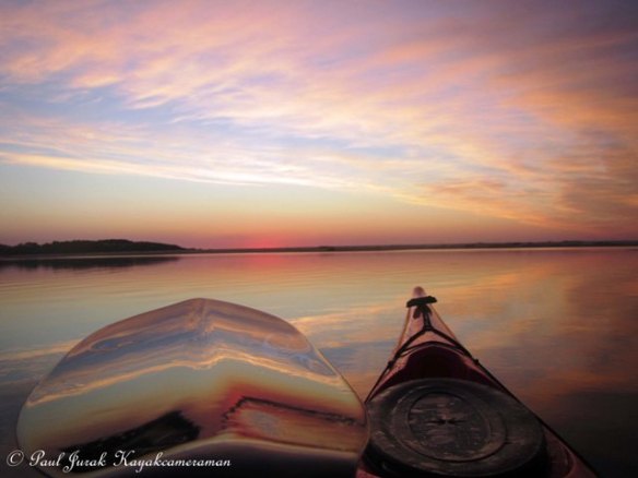 I paddled up to the mouth of Bonville Creek (meets the ocean) and drifted my in with the incoming tide. So nice and peaceful.