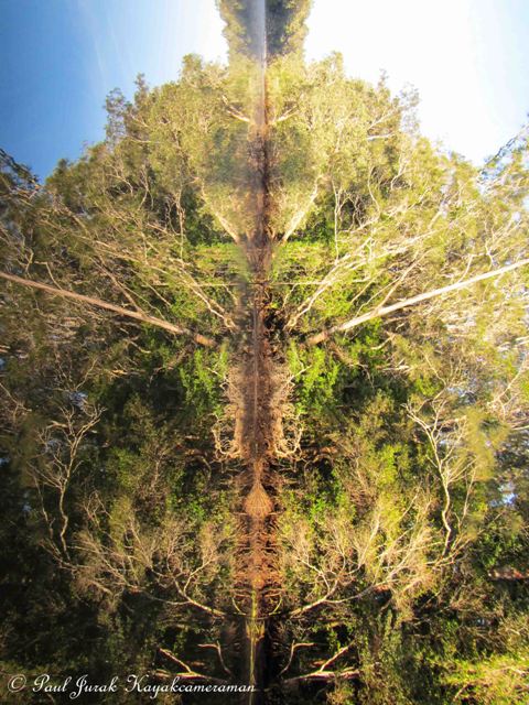 The wise old man of the Maria 