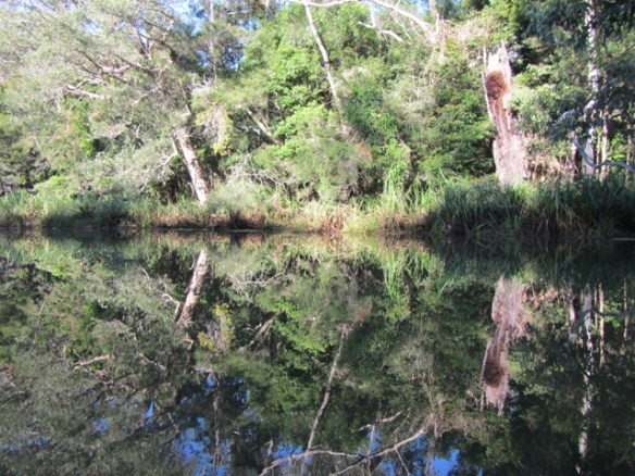 Perfect reflection the entire time!