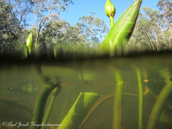 Rising up to meet a new day 