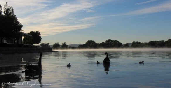 It's great to be home and cruising with my family. 