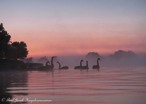 Everything made for a very relaxing start to Sunday. it's nice to swan around and not be in any hurry at all. 