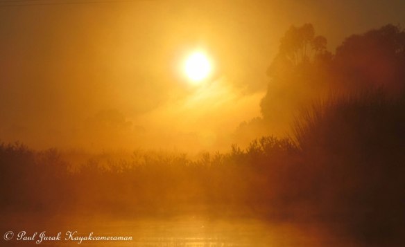 This is my favourite shot from the morning. I just sat there for about 10 minutes in awe. Looked stunning !