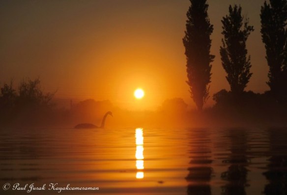 I just love to swan around and enjoy a good sunrise.