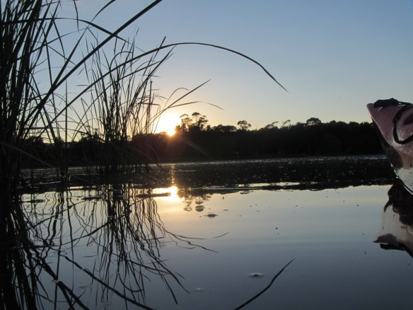 ???????????????????????????????