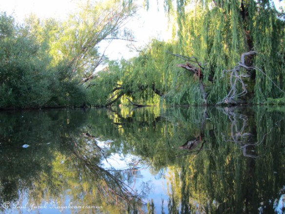 Nearing the 'Willow Cave' 