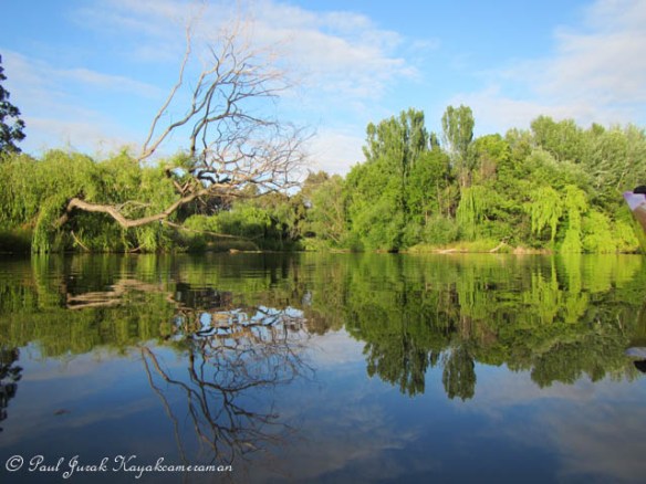Heading back home so calm after being immersed in beautiful world of green. 