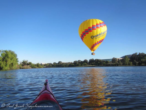 They are always a show stopper when they are hovering so close to the water.