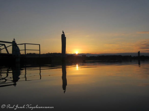 Its the only way to go!