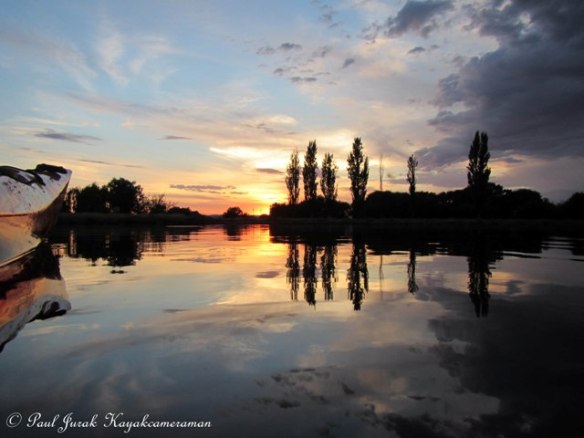 “In all things of nature there is something of the marvellous.” Aristotle 