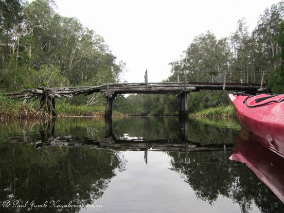 The scenery along the Maria River is stunning. 