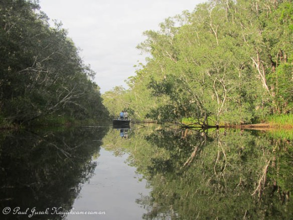 Fishing for Bass and Perch 