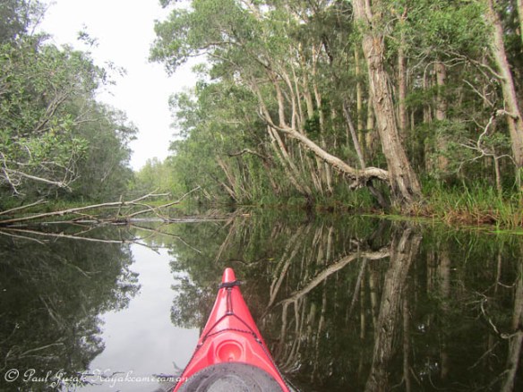 The sounds of nature are so relaxing. 