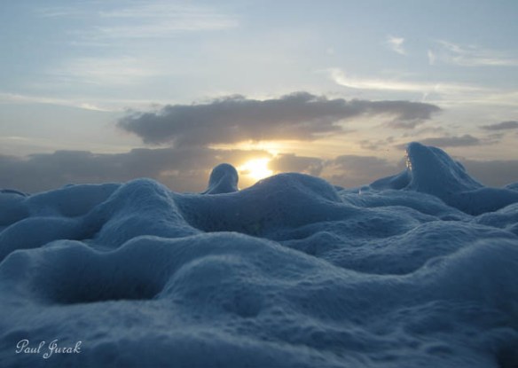 They also made for a few nice shots as well. 