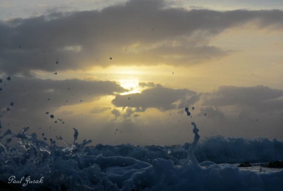 One of my fav's from this morning. 