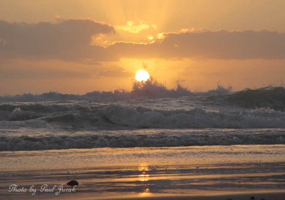 Golden tones and the crashing tunes of the ocean - Brilliant combo