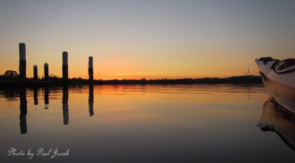 This is my daily tonic...just fantastic!