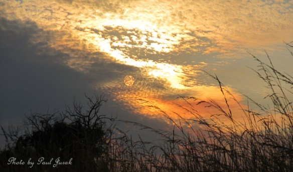 Now that was one excellent sunrise. All the best and have a great day. 