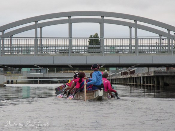 They up are so quick, I had no chance of keeping....lucky I have a 20x zoom :)