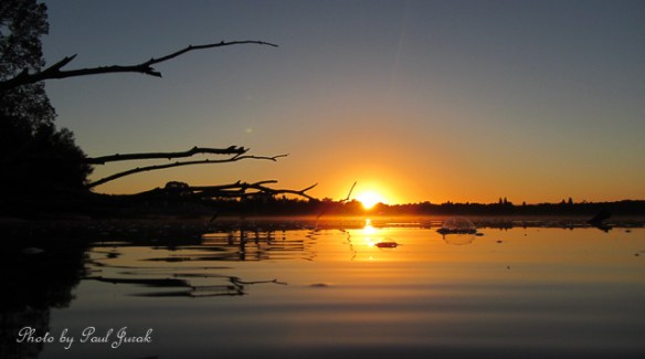I love how the sun just bursts open and floods golden light.....this is very cool indeed. 