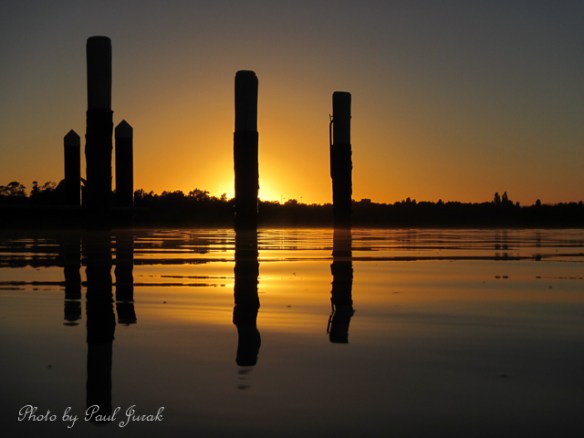 It looked like liquid gold was floating on the waters surface.  