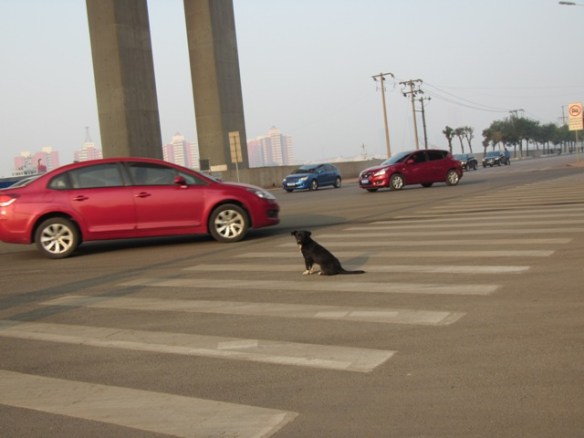 ???????????????????????????????