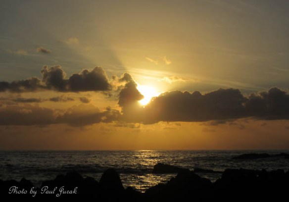 “What breaks in daybreak? Is it the night? Is it the sun, cracked in two by the horizon like an egg, spilling out light?” Margret Atwood