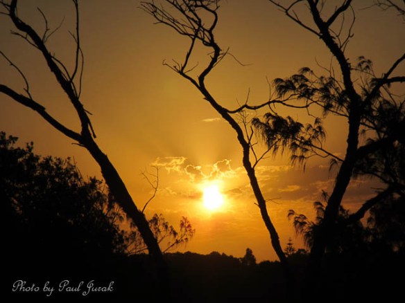 Golden rays to end the day...how good is that!