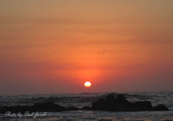 The mist on the horizon cast brilliant colours 