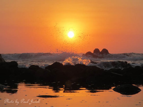 “Peace comes from within. Do not seek it without.” Gautama Buddha