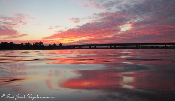I loved how the natures neon lights danced on the water 