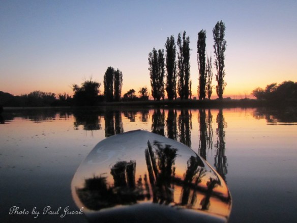 I decide to take Emma for a few early morning reflections on the Molonglo River first.  