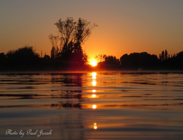 I had no idea that the balloons were only a few hundred metres away. I was totally immersed in a golden sunrise.  