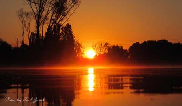 I was mesmerized by the light mist and golden tones.