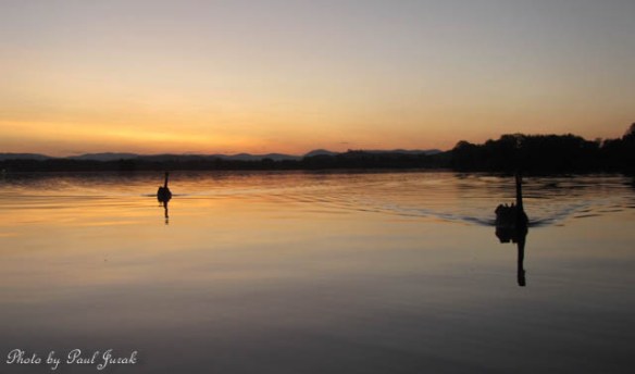Just as I getting out, I had a visit from a few friends of mine.
