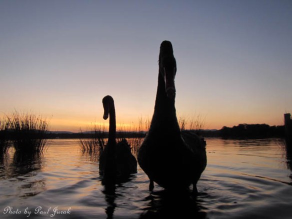 They both agreed, that was one of the better sunsets we have had for a while.