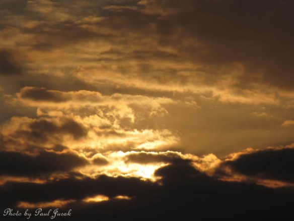 Loving the wild skies