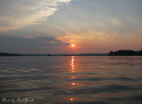 Love the tones in this one 