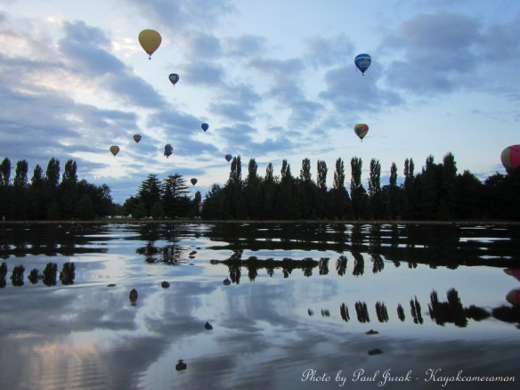 I loved how they filled our skies this morning. 