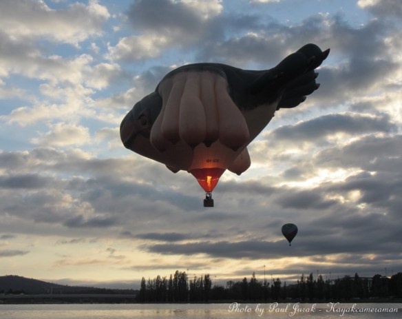 The 'Sky Whale' is here for the festival as well. 