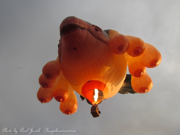 The Sky Whale was leading the way. 