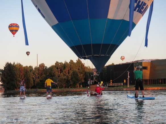 The kayakers and paddle boarders had an awesome close up experience. 