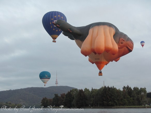 The festival has been huge 