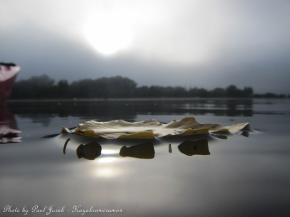 This shot would have to be one of my favourites for a while but sums up exactly how the morning was.